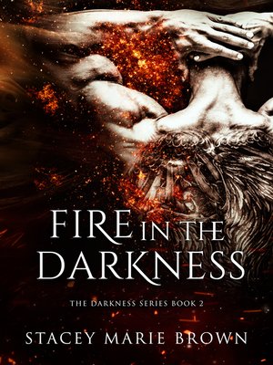 cover image of Fire In the Darkness (Darkness Series #2)